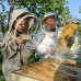 Caisson d'enfumage pour ruche en acier inoxydable 27,9 cm avec nouveau design et protection contre la chaleur B00D8ORVG6